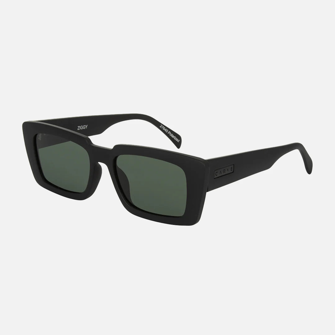 SUNGLASSES CARVE - ZIGGY